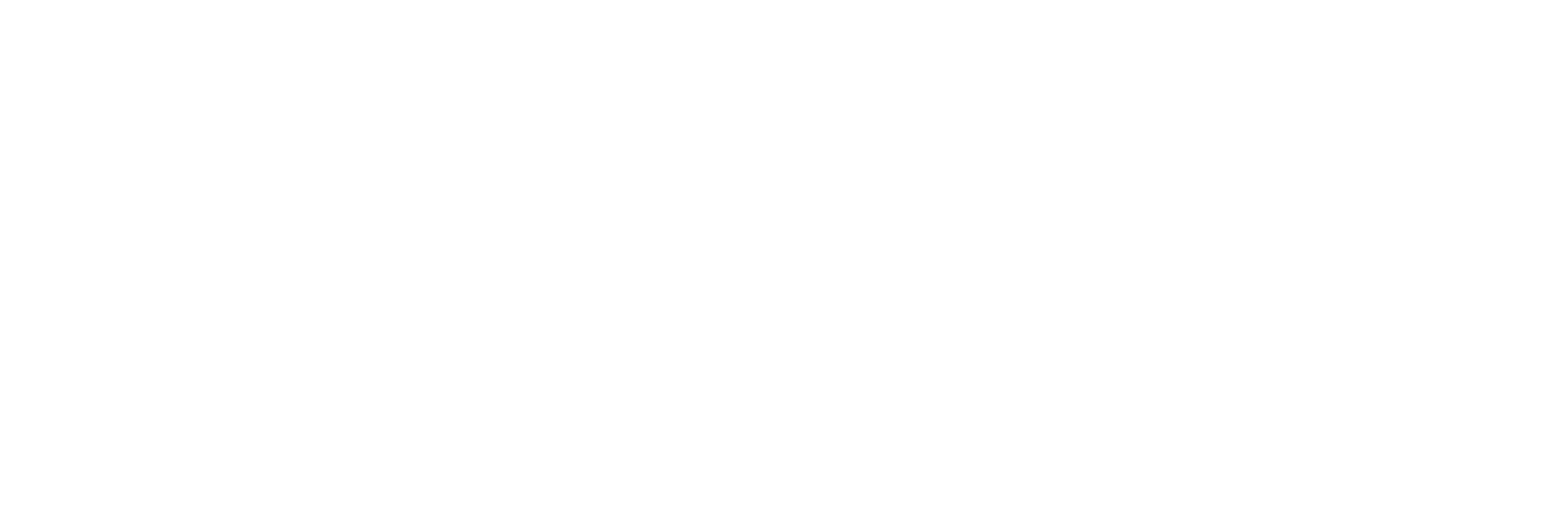 By Suus - Skinstudio - logo white